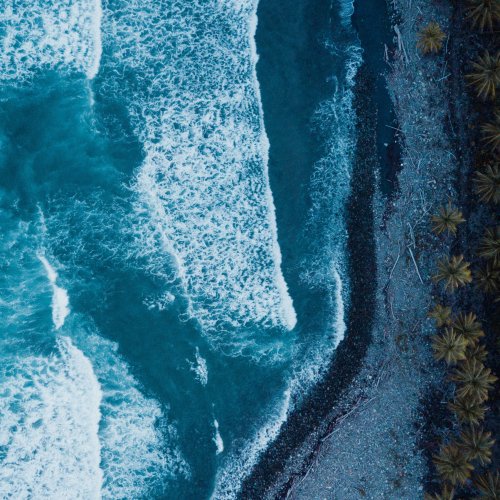 Фотография Фотогалерея