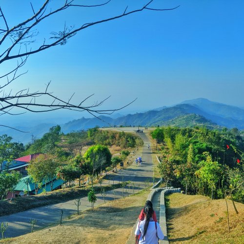 Фотография Фотогалерея