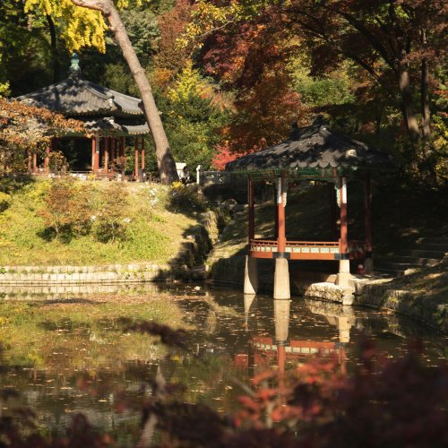 Фотография Дворец Чхандоккун и Секретный сад Хувон