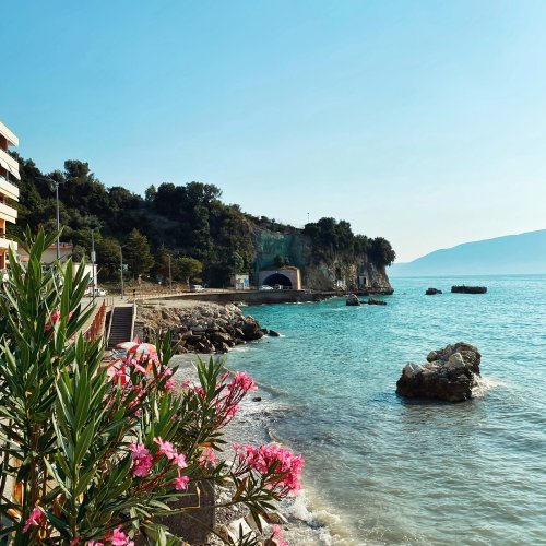 Фотография Фотографии