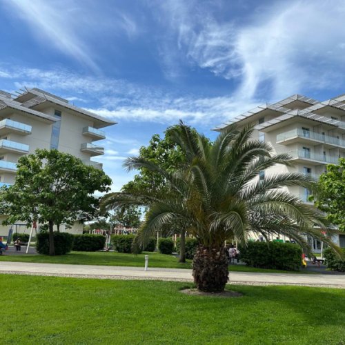 Фотография Фотографии