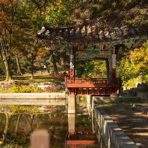 Фотография Дворец Чхандоккун и Секретный сад Хувон