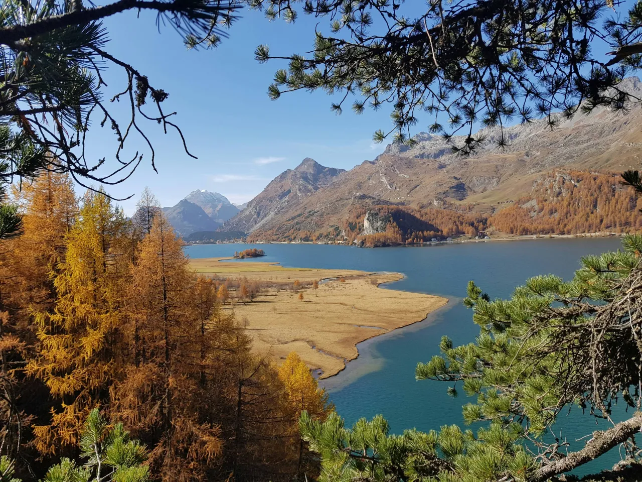 Бабье лето в Зильс-Мария-Энгадин, Швейцария