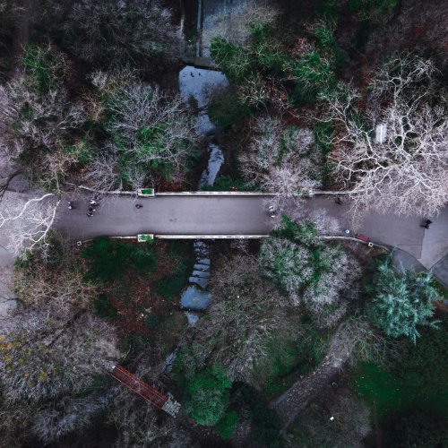 Приморский парк (Морской сад) — Варна