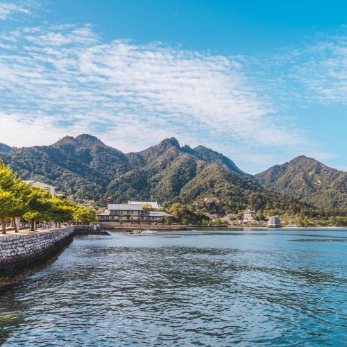 Фотография Фотографии