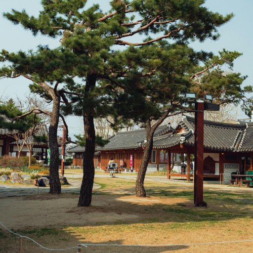 Фотография Фотографии