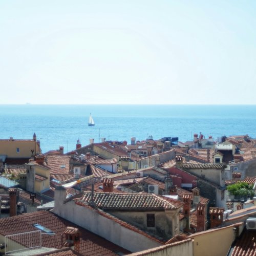 Фотография Фотографии