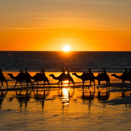 Фотография Фотографии