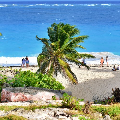 Фотография Фотогалерея