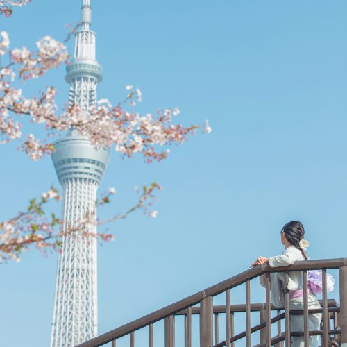 Фотография Токийский Скайтри (Tokyo Skytree)