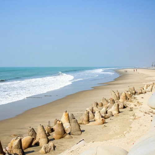 Фотография Фотографии