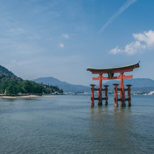 Фотография Фотографии