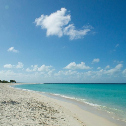 Фотография Фотографии