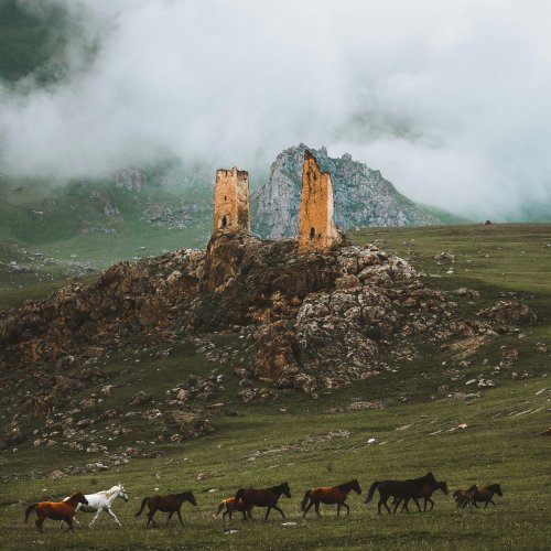 Фотография Фотографии