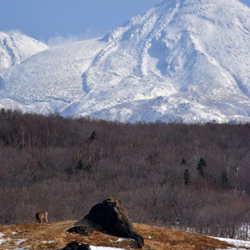 Фотография Фотографии