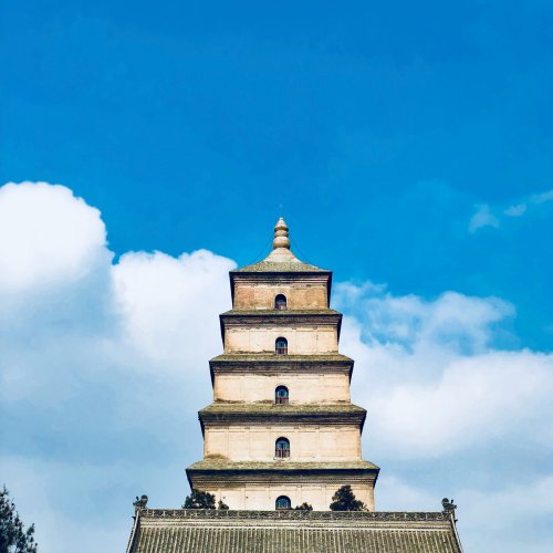 Фотография Фотографии