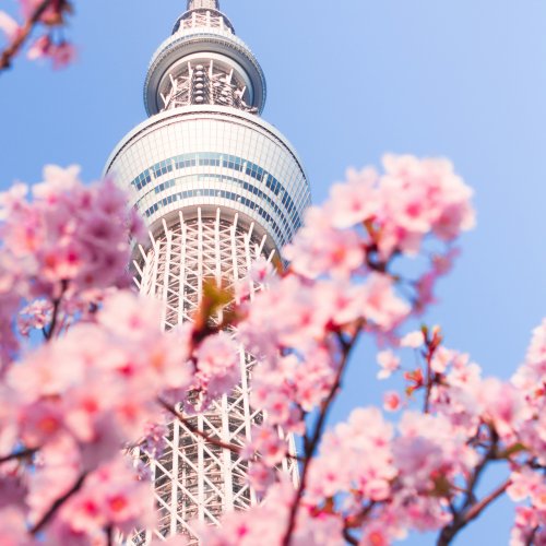 Фотография Токийский Скайтри (Tokyo Skytree)