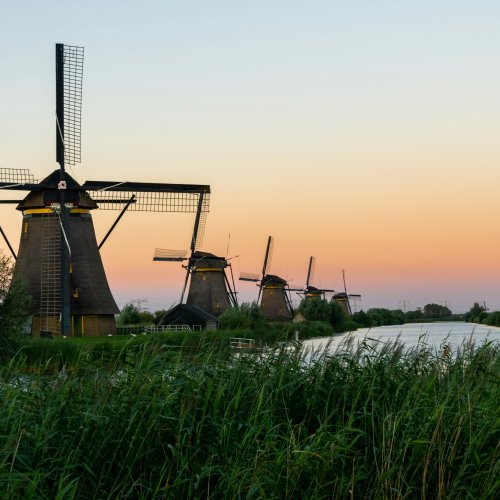 Фотография Фотогалерея