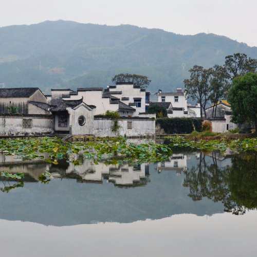 Фотография Фотографии