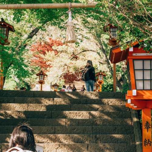 Ступени к пагоде