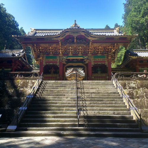 Фотография Фотографии