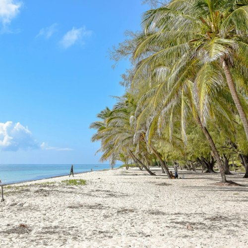 Пляжная линия в Момбасе