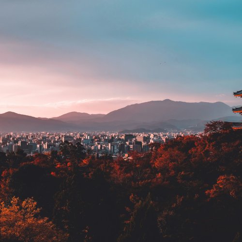 Фотография Фотогалерея