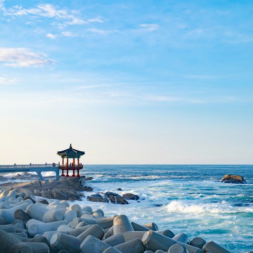 Фотография Фотографии