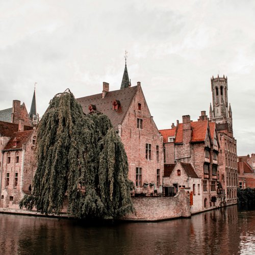 Фотография Фотографии