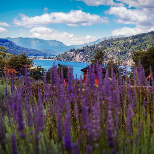 Фотография Фотографии