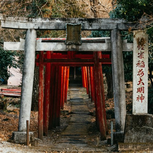 Фотография Фотографии