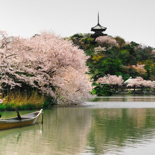 Фотография Фотографии