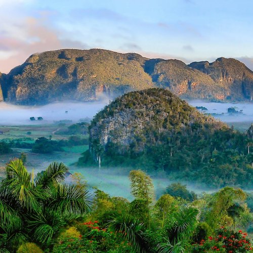 Фотография Фотогалерея