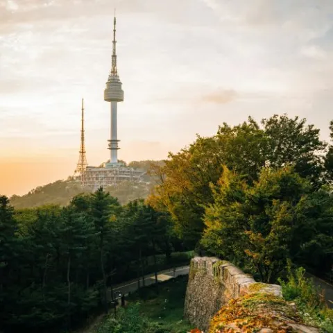 Фотография Фотогалерея