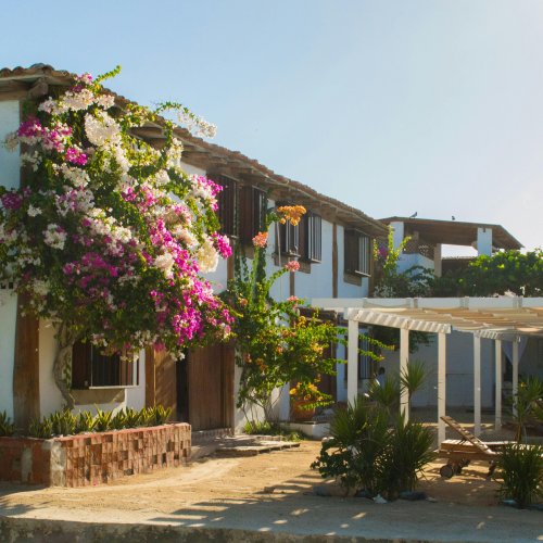 Фотография Фотографии