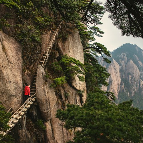 Фотография Фотографии