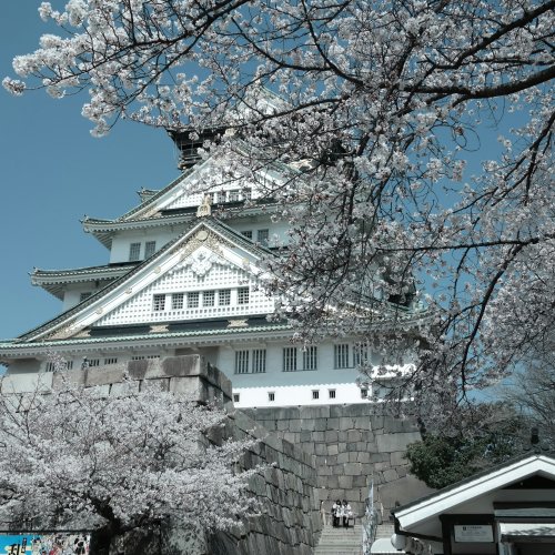 Фотография Замок Осака (Осака-дзё)