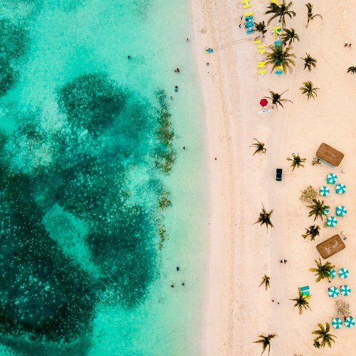 Фотография Фотогалерея