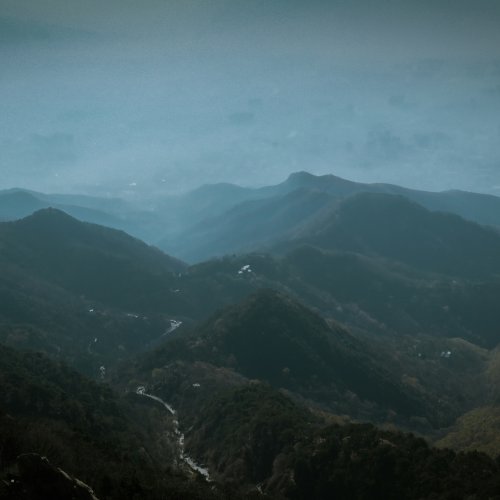 Фотография Фотографии