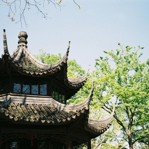 Фотография Фотографии