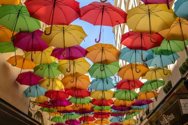 Фотография Фотографии