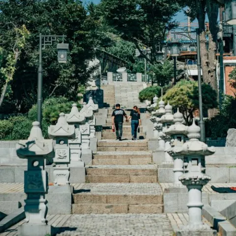 В Корею за красотой