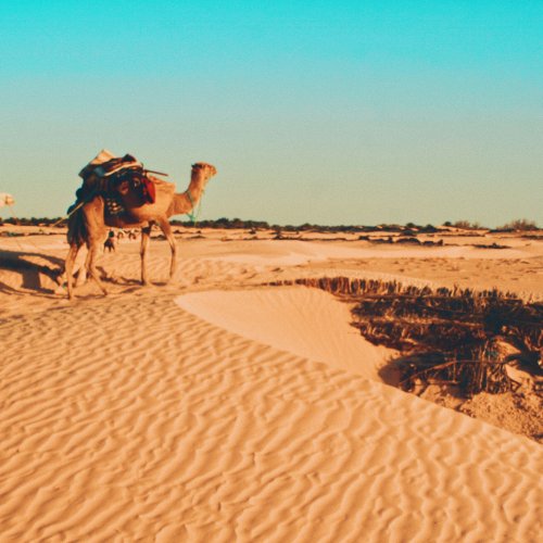 Фотография Фотогалерея