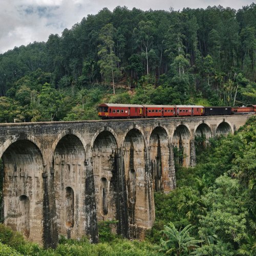 Фотография Фотографии