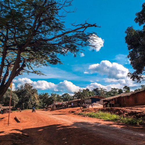 Фотография Фотогалерея