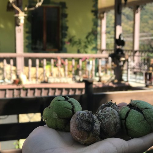 Фотография Фотографии