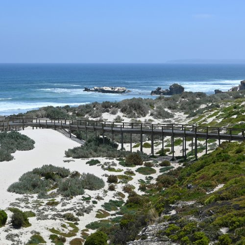 Фотография Фотографии