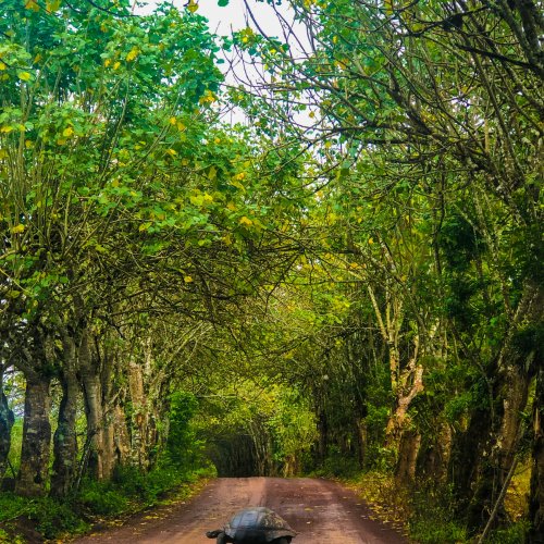 Фотография Фотографии