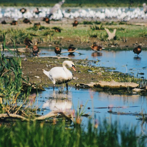 Фотография Фотографии