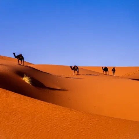 Фотография Фотогалерея